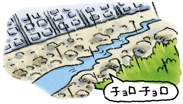 雨は降り続いているのに川の水が減る③