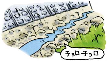 雨は降り続いているのに<br>川の水が減る③